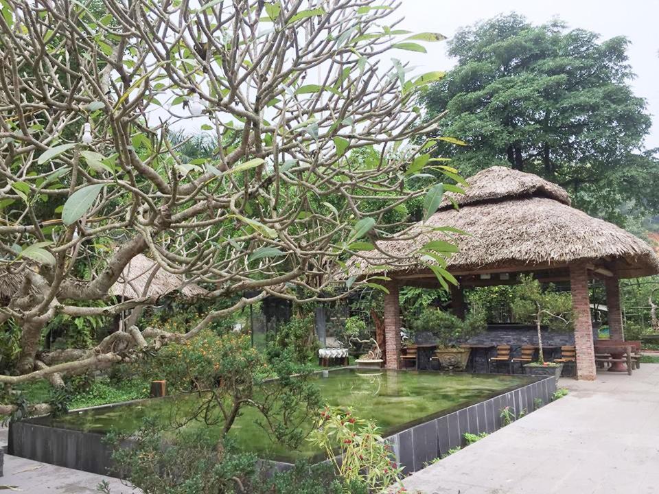 Farmstay O A Phao - Km37 Ham Yen Tuyen Quang Eksteriør bilde