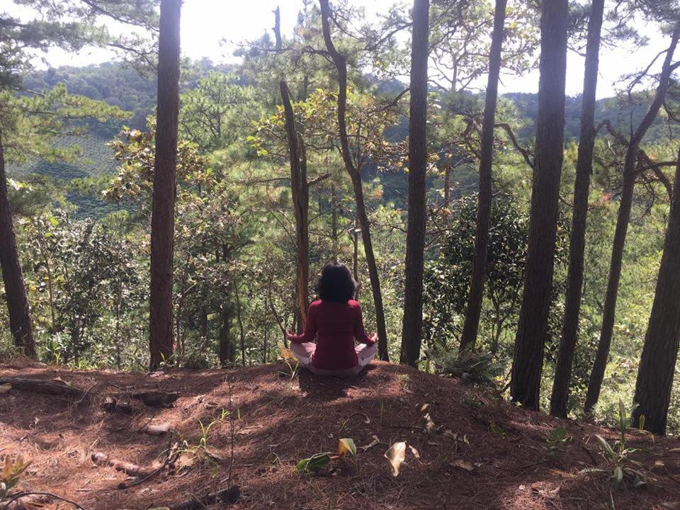 Farmstay O A Phao - Km37 Ham Yen Tuyen Quang Eksteriør bilde