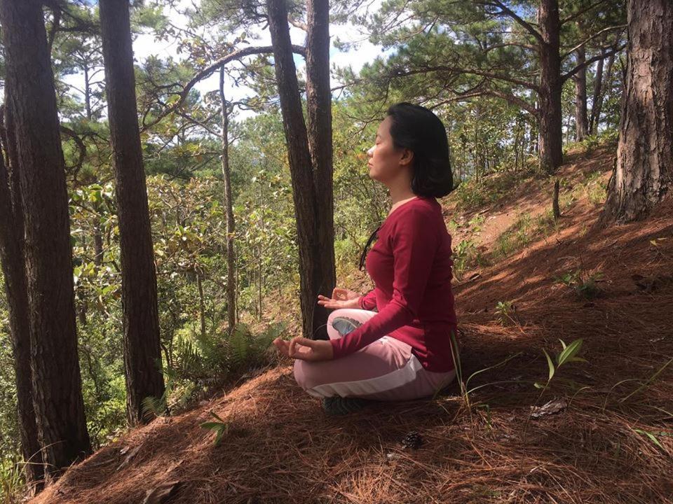 Farmstay O A Phao - Km37 Ham Yen Tuyen Quang Eksteriør bilde